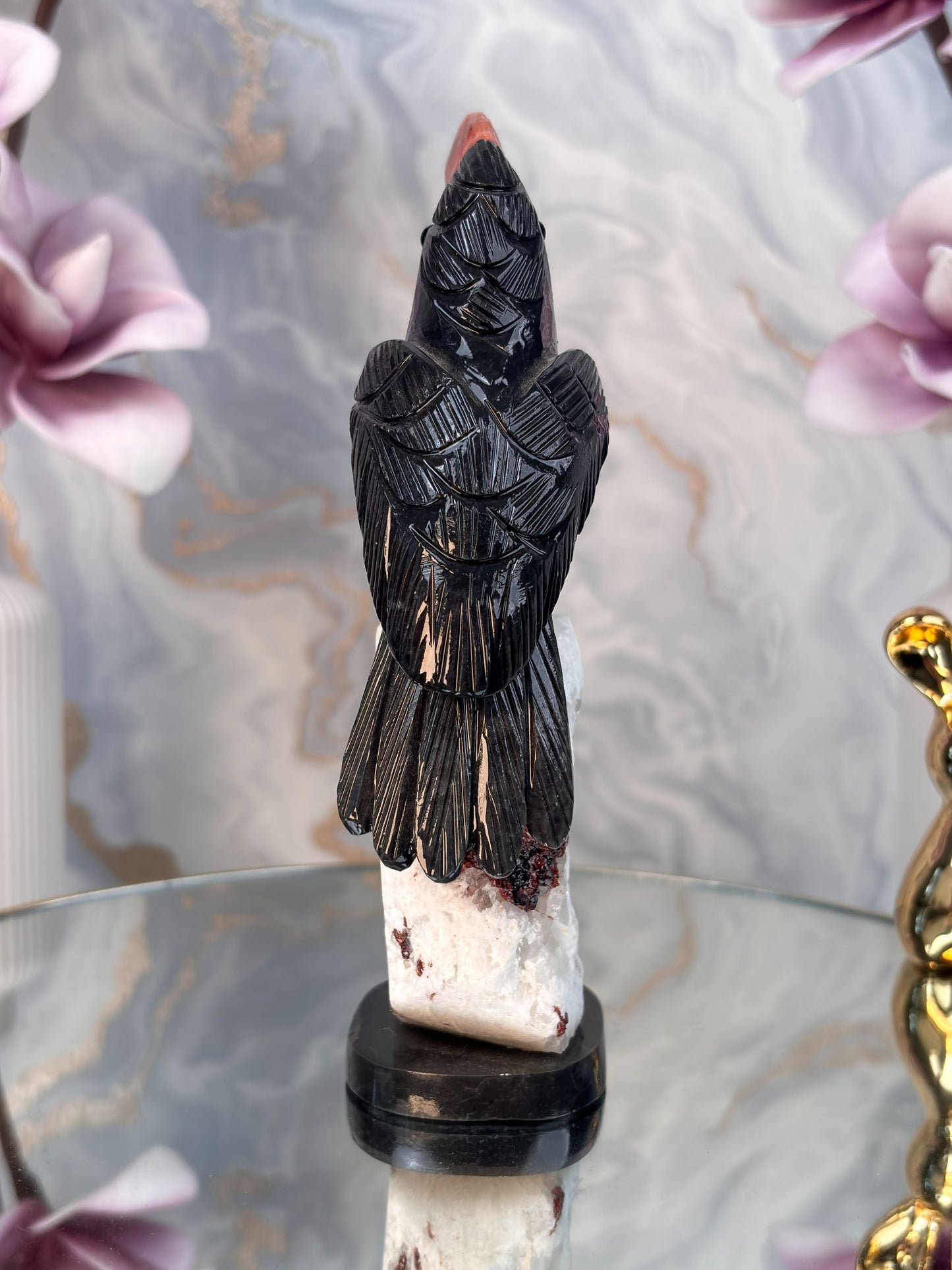 Tukan Vogel