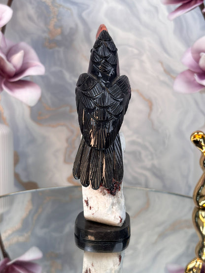 Tukan Vogel
