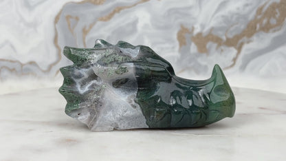 Moosachat Drachenkopf