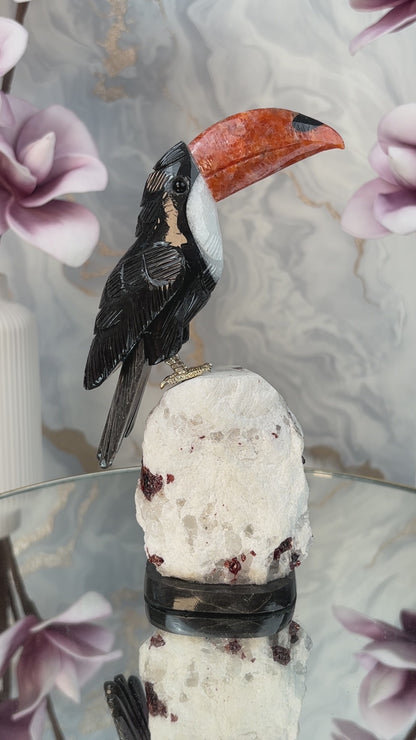 Tukan Vogel