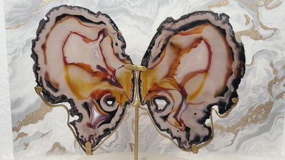 Achat Schmetterling Groß